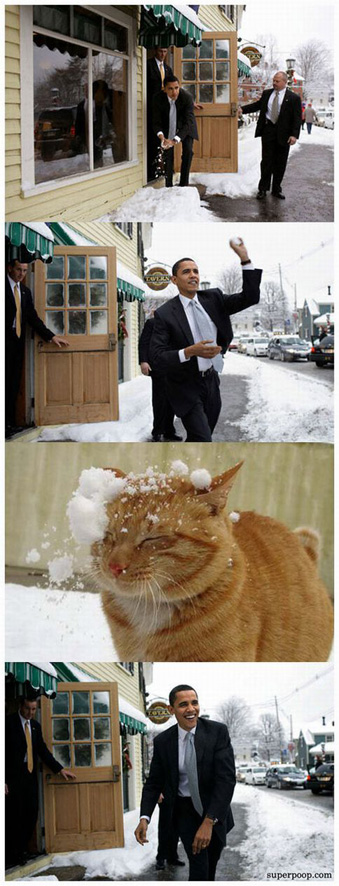 obamas_a_dick